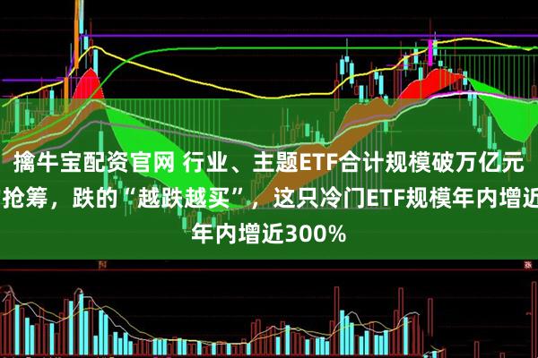 擒牛宝配资官网 行业、主题ETF合计规模破万亿元！涨的抢筹，跌的“越跌越买”，这只冷门ETF规模年内增近300%