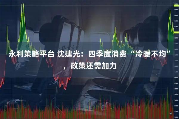 永利策略平台 沈建光：四季度消费 “冷暖不均”，政策还需加力